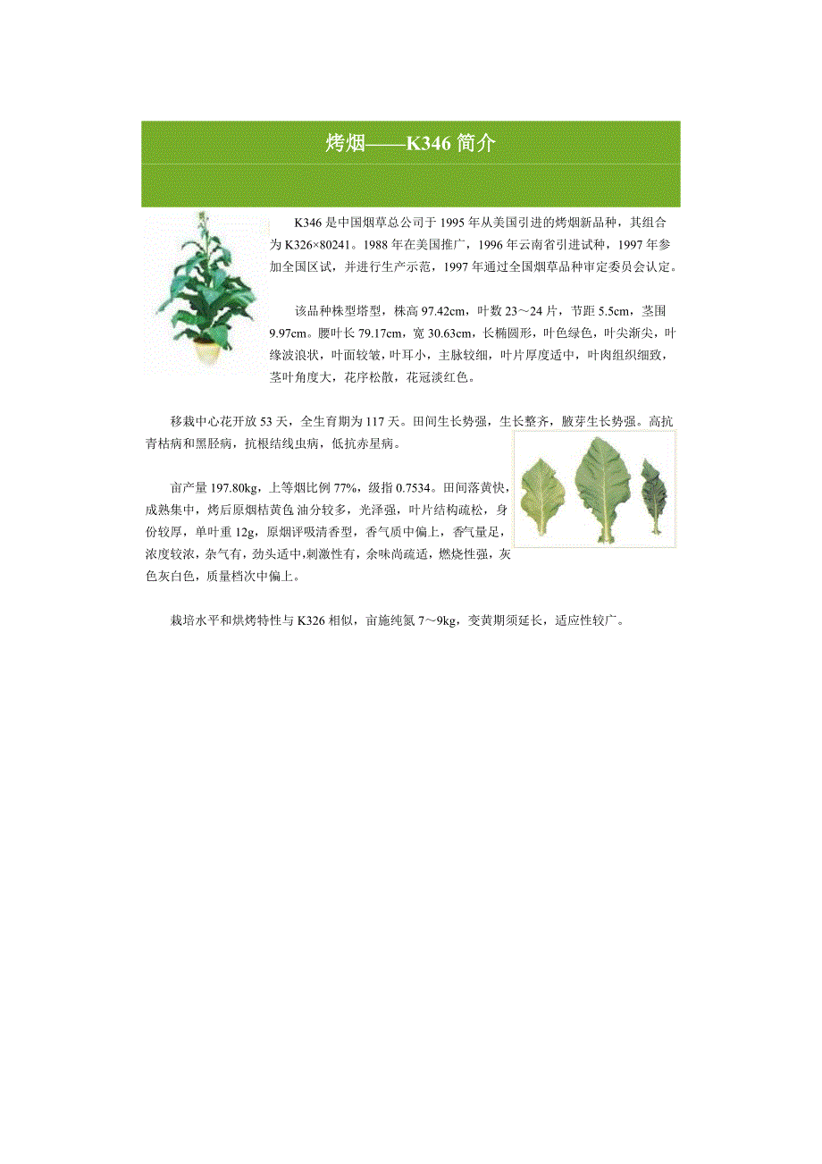 烤烟品种介绍.doc_第3页