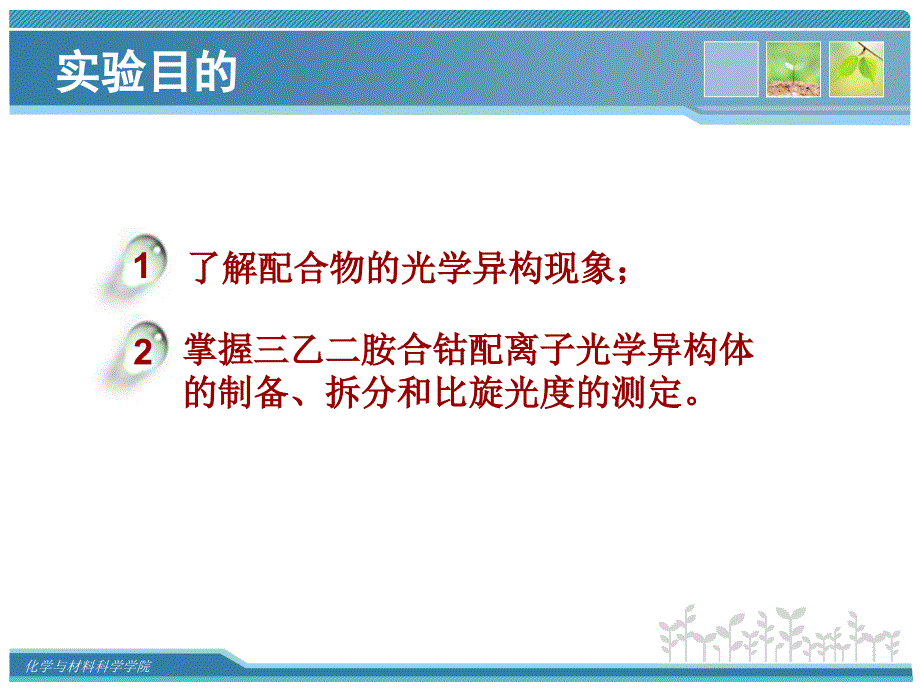 三乙二胺合钴配离子光学异构体.ppt_第2页