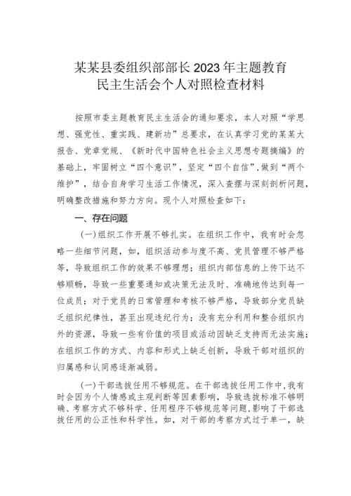 某某县委组织部部长2023年主题教育民主生活会个人对照检查材料.docx