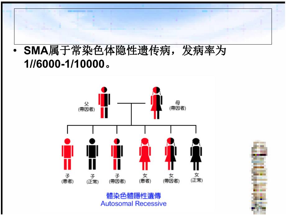SMA分子检测进展PPT课件.ppt_第3页