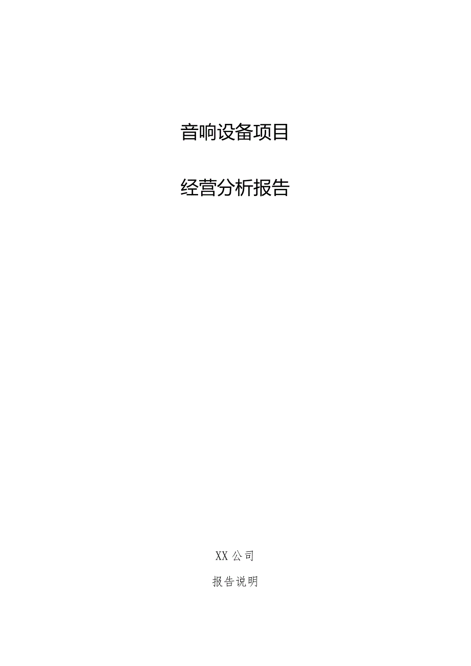 音响设备项目经营分析报告.docx_第1页