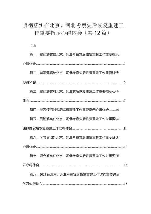 （12篇）贯彻落实在北京、河北考察灾后恢复重建工作重要指示心得体会范文.docx