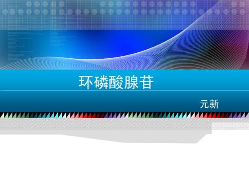 环磷酸腺苷.ppt