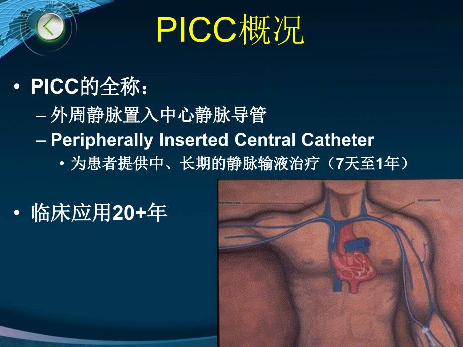 PICC相关的血管解剖及穿刺部位的评估护理.ppt_第2页