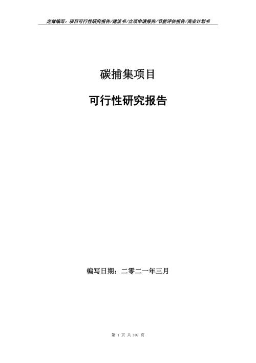 碳捕集项目可行性研究报告立项申请.doc