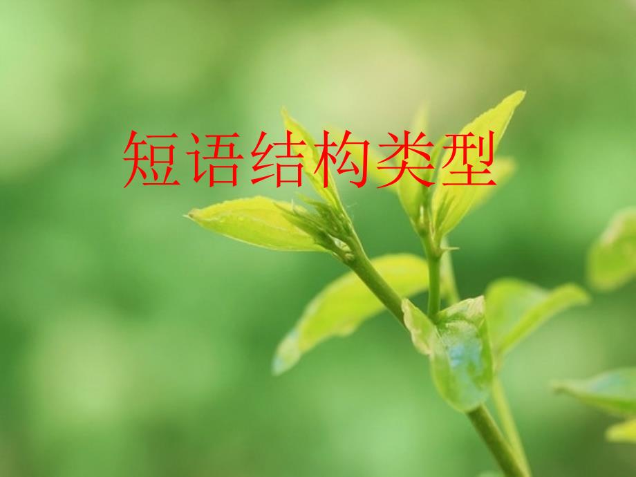 短语结构类型课件.ppt_第1页