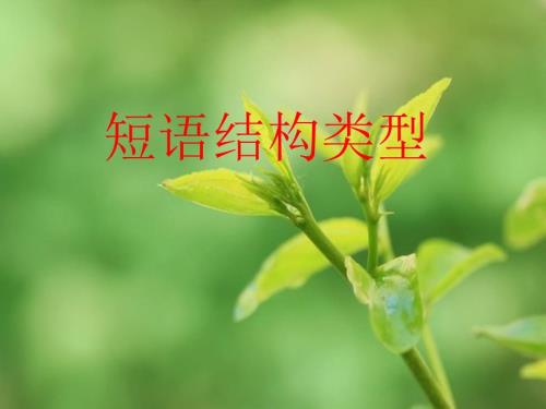 短语结构类型课件.ppt