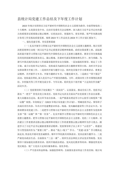 县统计局党建工作总结及下工作计划.docx