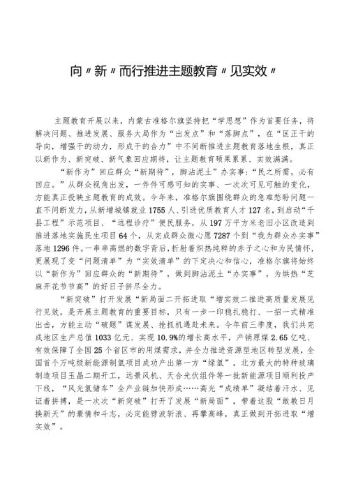 心得体会：向“新”而行 推动主题教育“见实效”.docx