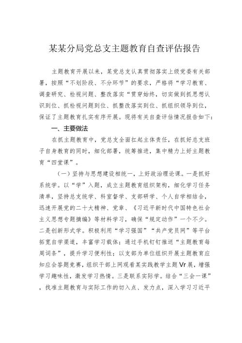 某某分局党总支主题教育自查评估报告.docx