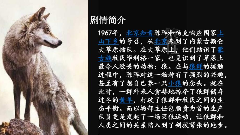 狼图腾赏析PPT课件.ppt_第3页