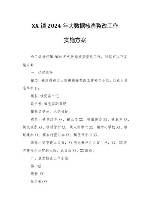 XX镇2024年大数据核查整改工作实施方案.docx