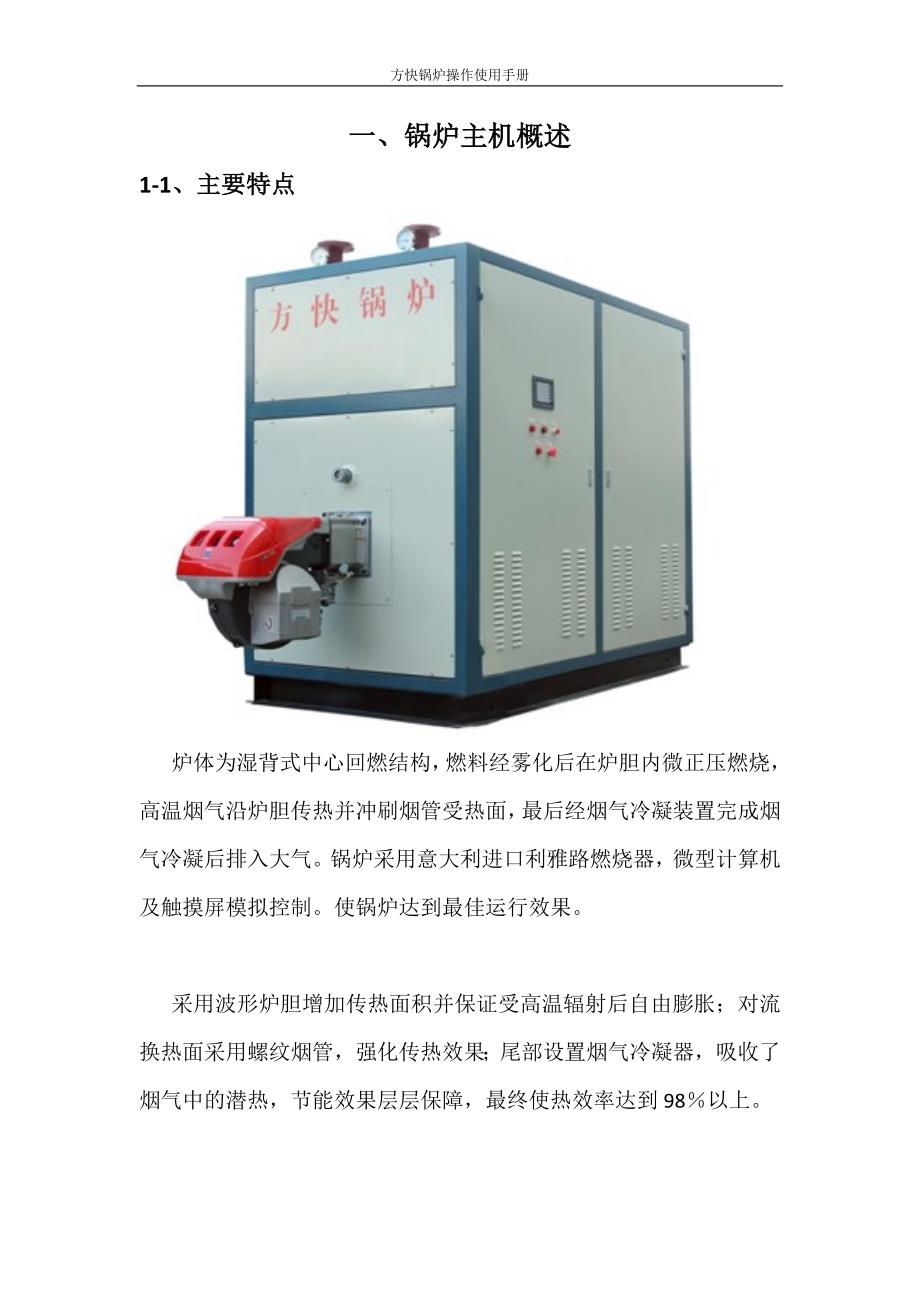 真空锅炉系统操作使用手册.doc_第3页