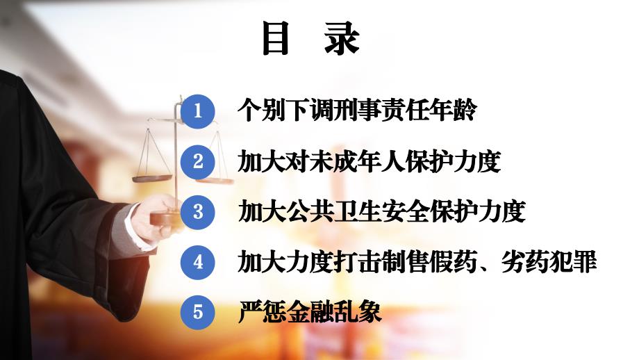 2021年刑法修正案十一解读.pptx_第2页