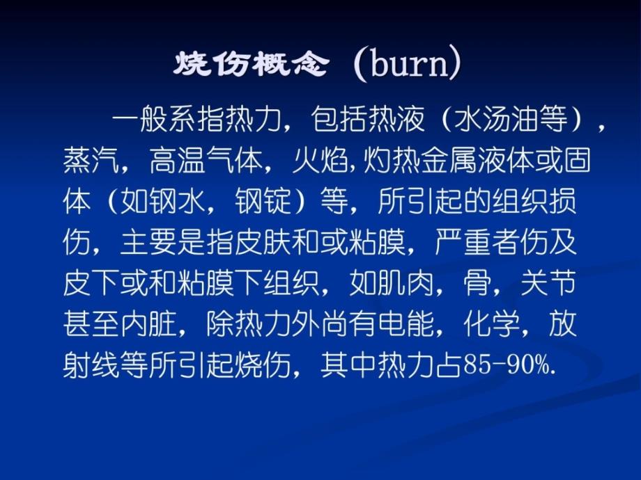 烧伤讲课精华PPT课件.ppt_第2页