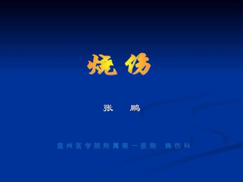 烧伤讲课精华PPT课件.ppt