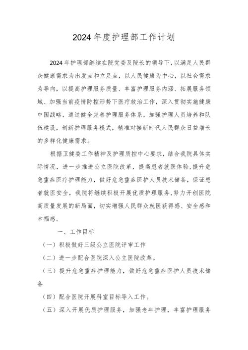 2024年医院护理部工作计划 （详细版）.docx