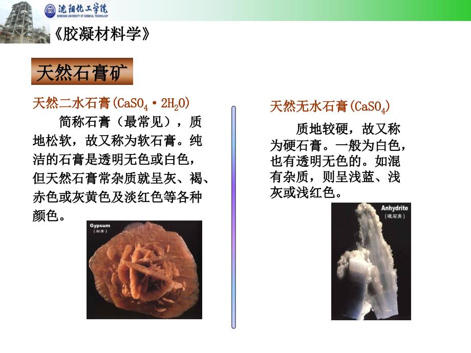 石膏教学课件.ppt_第2页