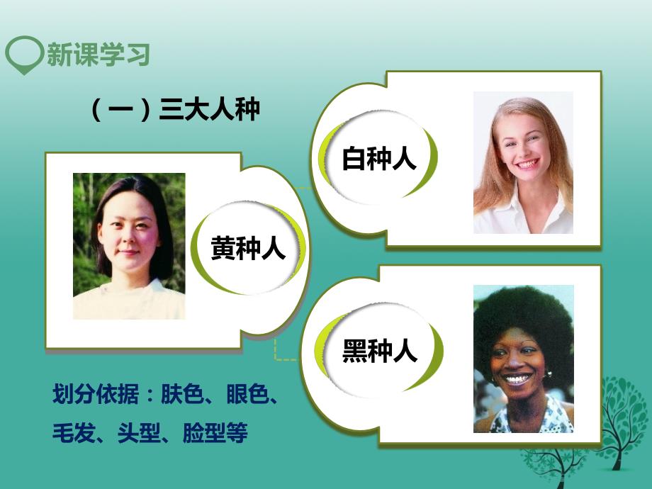 七年级地理上册3.2世界的人种课件新版湘教版.ppt_第3页