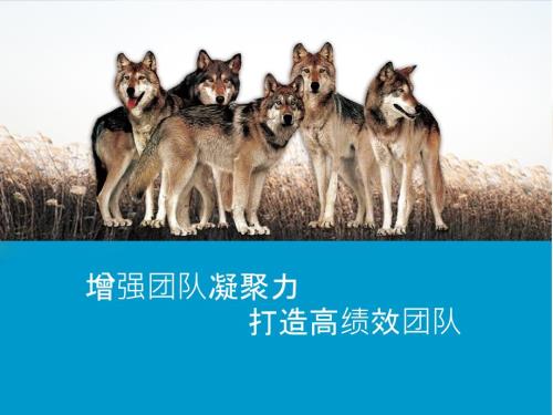 如何增强团队凝聚力ppt课件.ppt