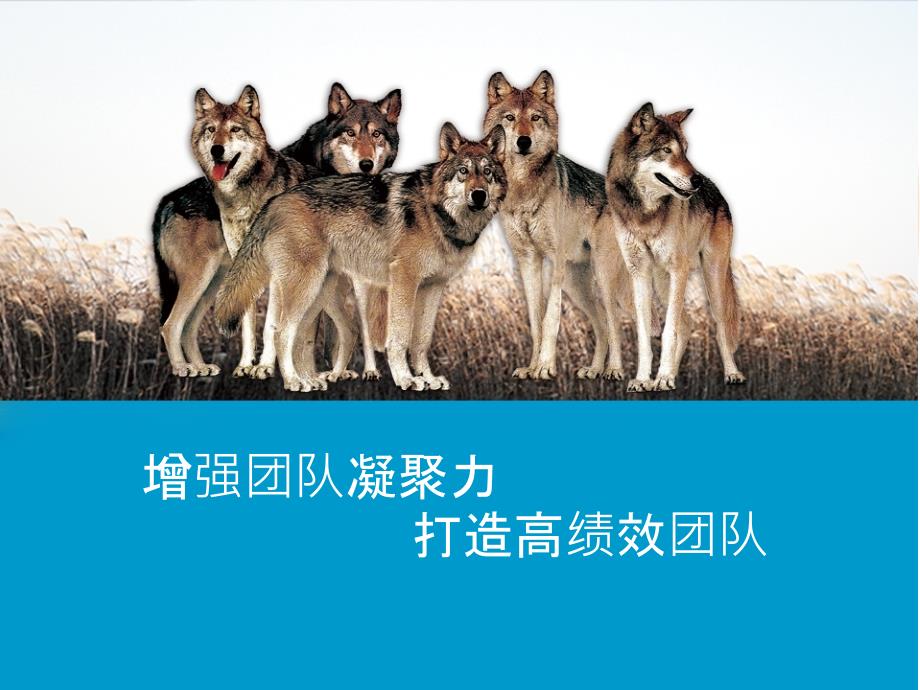 如何增强团队凝聚力ppt课件.ppt_第1页