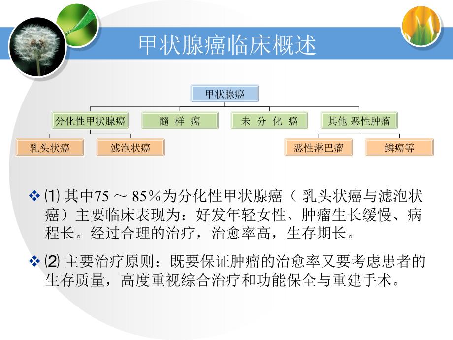 甲状腺癌的颈部淋巴结清扫原则.ppt_第3页