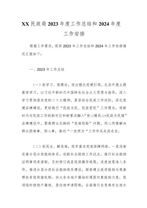 XX民政局2023工作总结和2024工作安排.docx