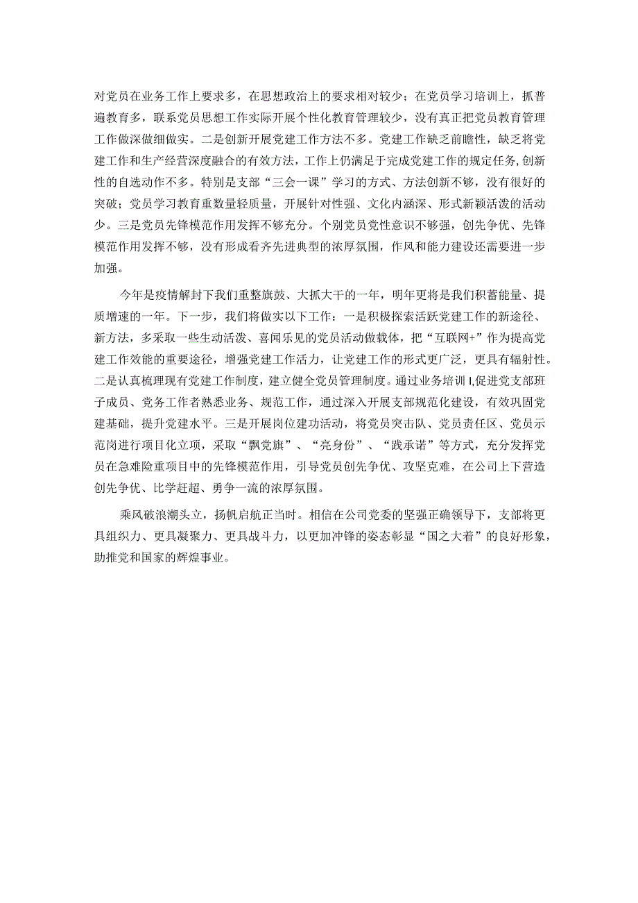 企业2023年党支部书记述职报告.docx_第3页