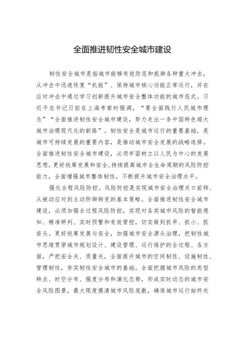 全面推进韧性安全城市建设.docx
