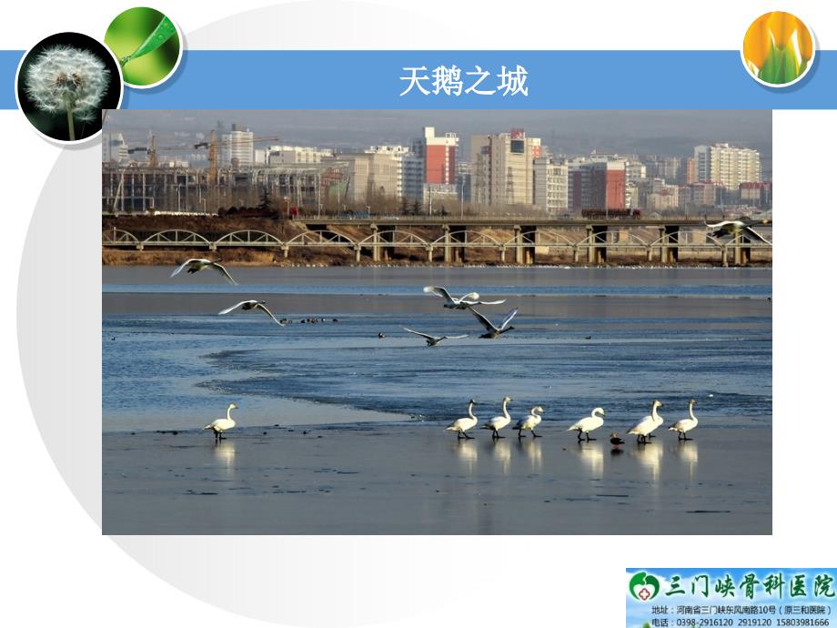 如何保护您的膝关节.ppt_第3页