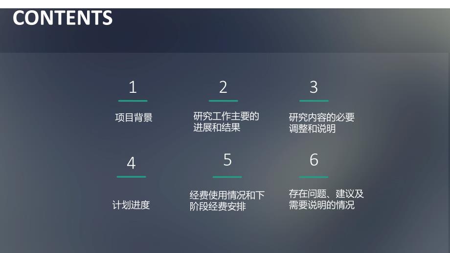 大创中期报告课件.ppt_第2页