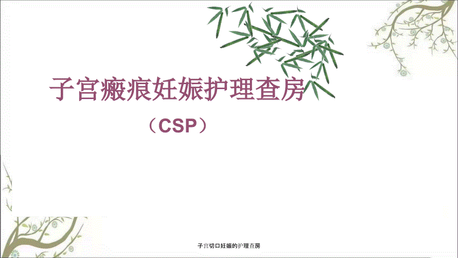 子宫切口妊娠的护理查房.ppt_第1页