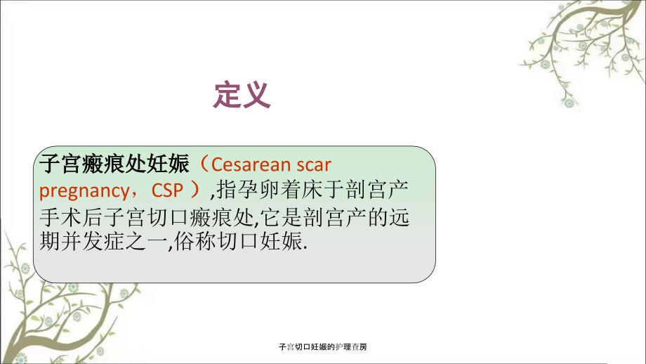子宫切口妊娠的护理查房.ppt_第2页