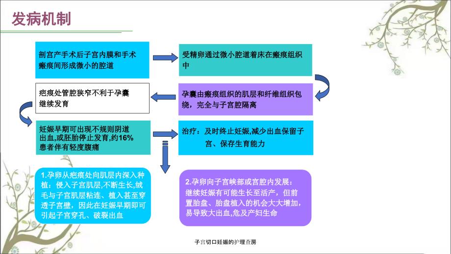 子宫切口妊娠的护理查房.ppt_第3页