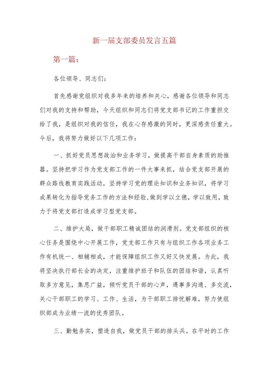 新一支部委员发言五篇.docx_第1页