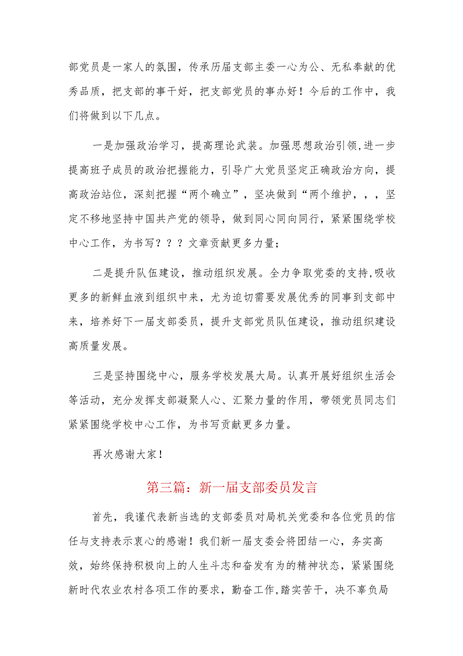 新一支部委员发言五篇.docx_第3页