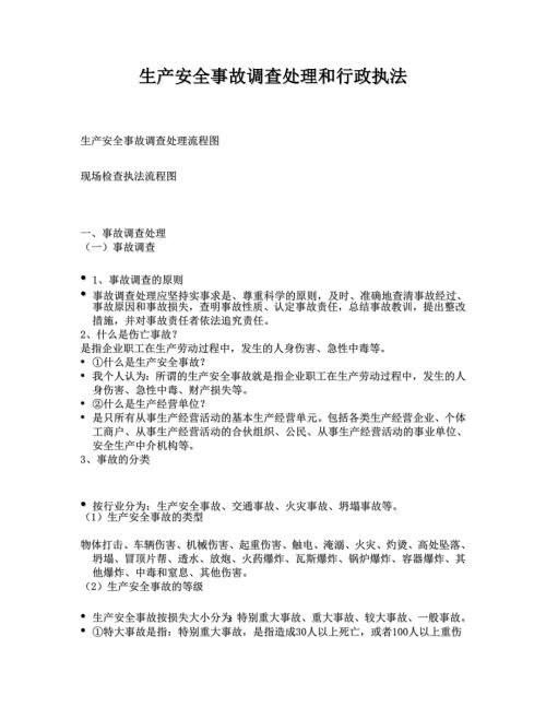 生产安全事故调查处理和行政执法实务.doc