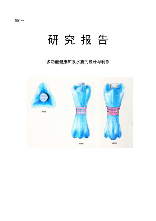 研究报告多功能健康矿泉水瓶.doc