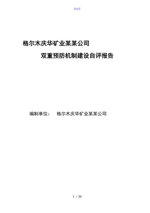 矿业公司管理系统双重预防机制自评报告材料.doc