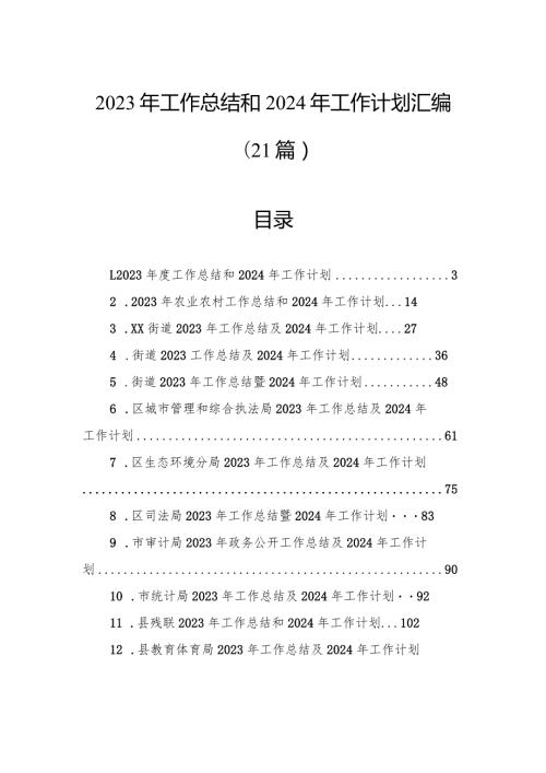 2023年工作总结和2024年工作计划汇编（21篇）.docx