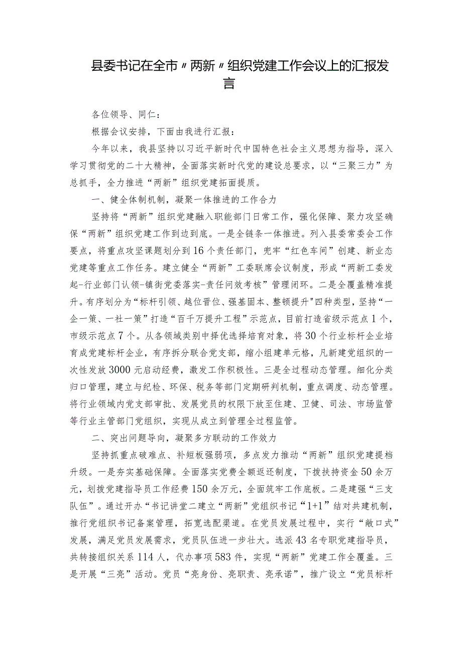 县委书记在全市“两新”组织党建工作会议上的汇报发言.docx_第1页