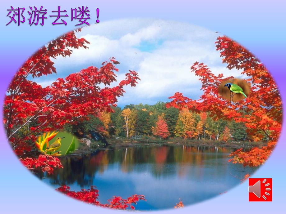 多彩的天中班PPT课件.ppt_第2页