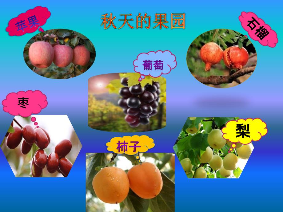 多彩的天中班PPT课件.ppt_第3页