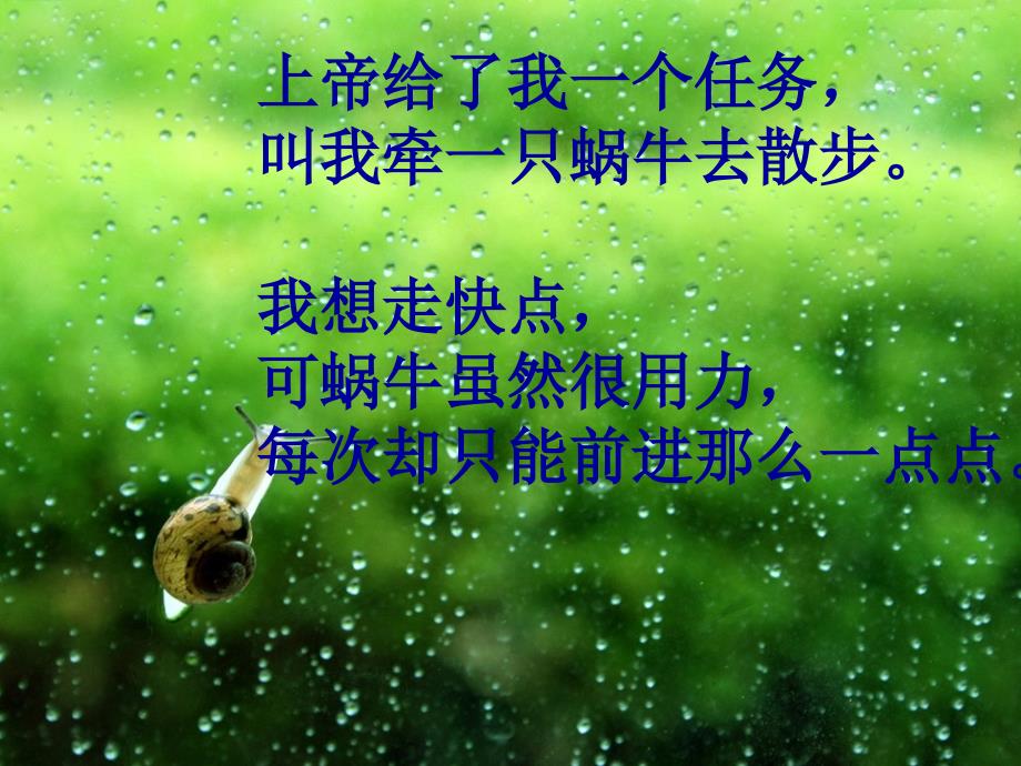 牵一只蜗牛去散步精彩课件.ppt_第2页