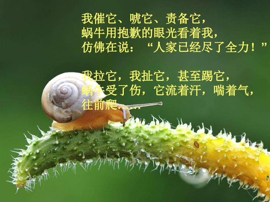 牵一只蜗牛去散步精彩课件.ppt_第3页