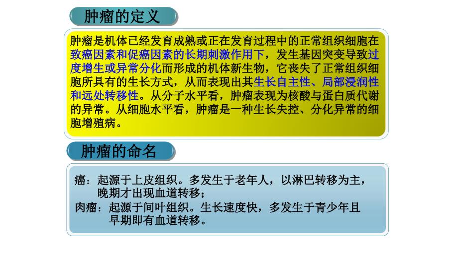 癌症患者心理护理课件.pptx_第3页