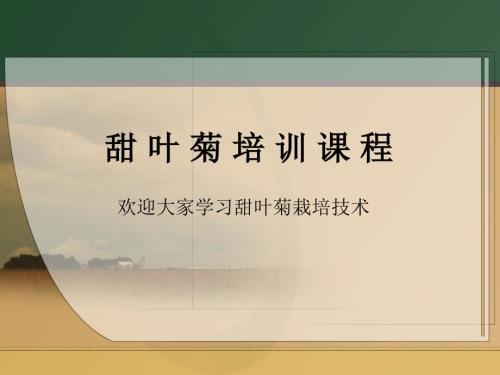 甜叶菊种植技术培训.ppt