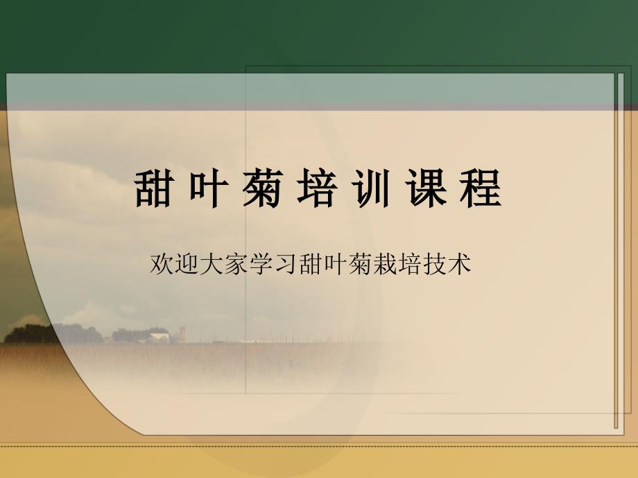 甜叶菊种植技术培训.ppt_第1页
