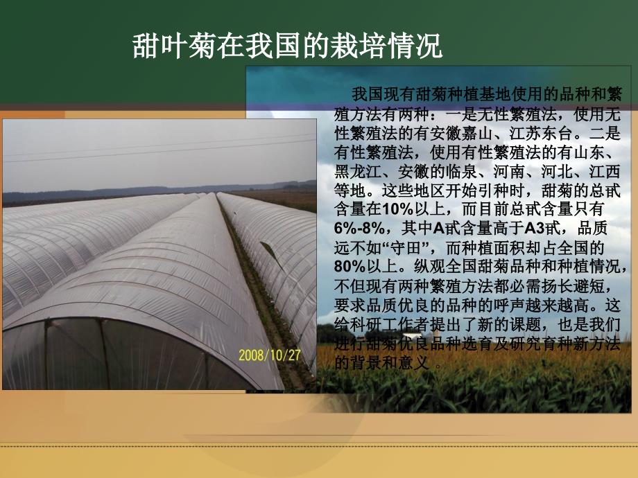 甜叶菊种植技术培训.ppt_第3页