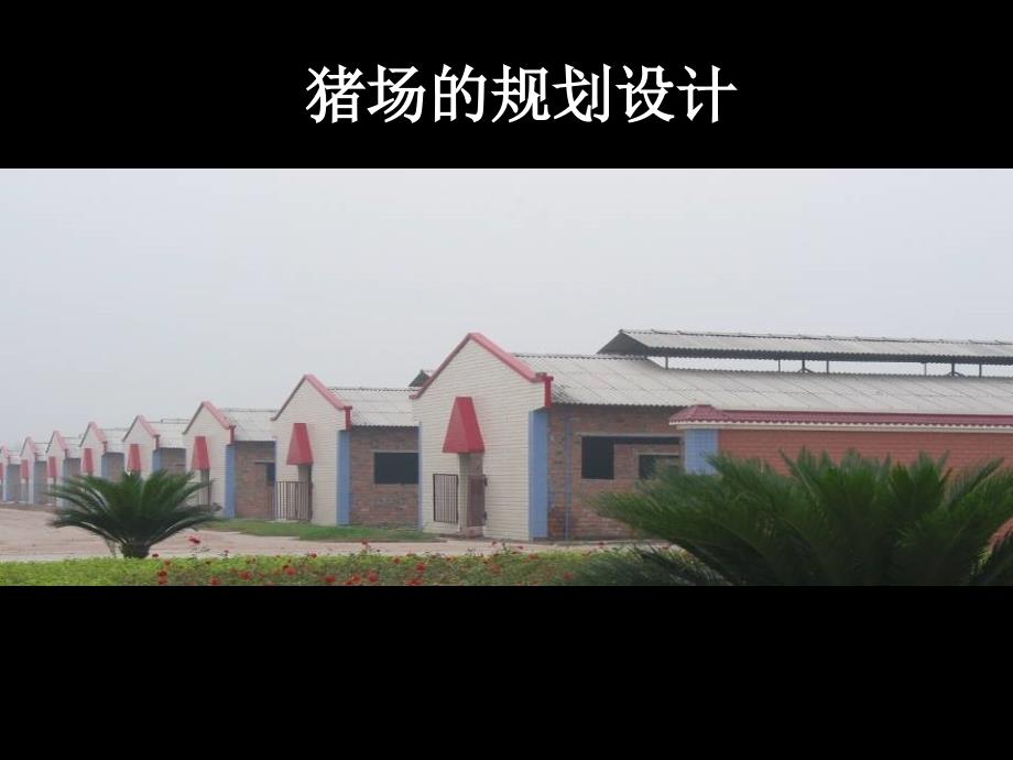 猪场的规划设计PPT课件.ppt_第1页